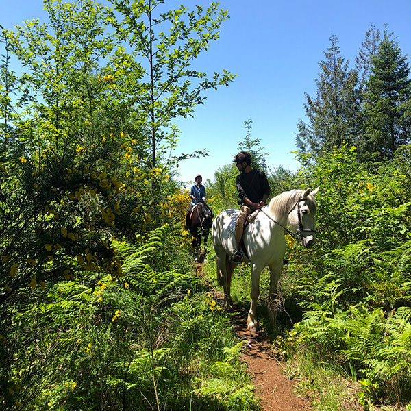 corbett-farm-trail-ride