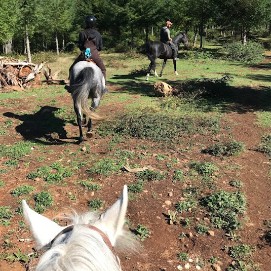 horse-back-trail-riding-corbett-farm
